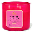 VELA CACTUS BLOSSOM