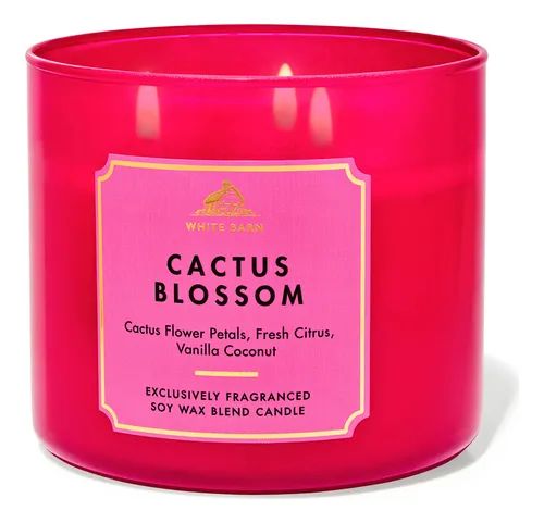 VELA CACTUS BLOSSOM