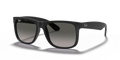 LENTES RAYBAN RB 4165