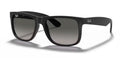 LENTES RAYBAN RB 4165 U